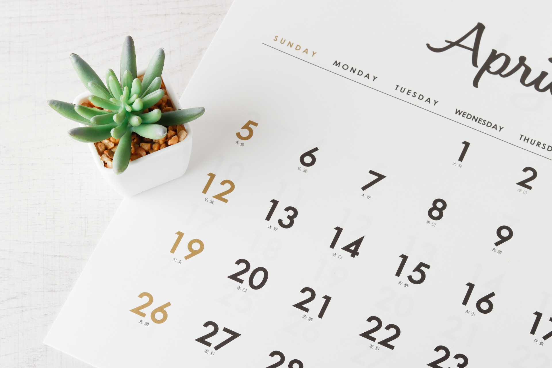 AdobeStock_659260426 (1)